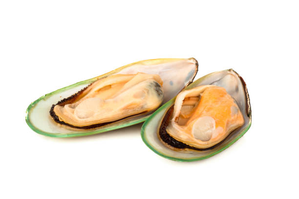 Greenshell Mussels - New Zealand - c