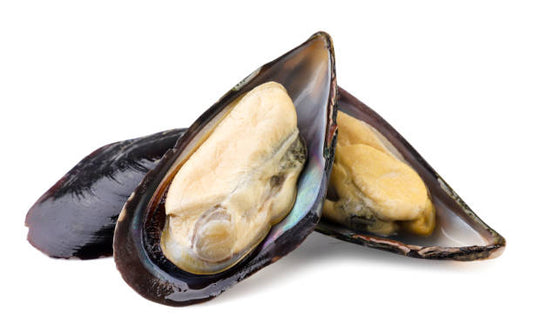 Black Mussels, whole and half - c