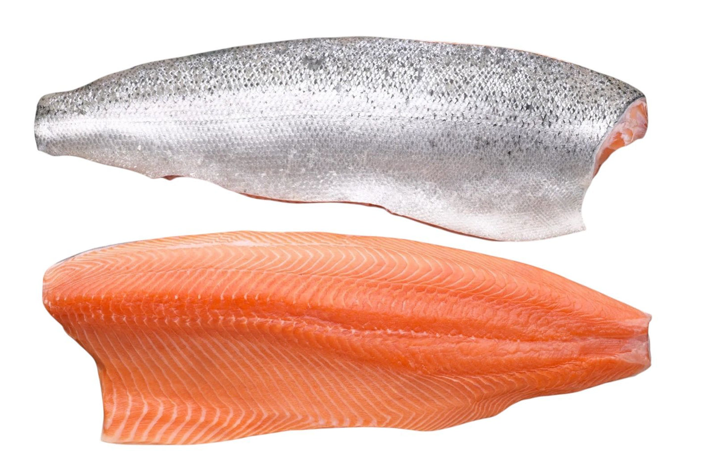 Premium Atlantic Salmon Fillets skin on from Chile, Trim D - Pack: IQF, IVP - Size: 2 - 3 lbs