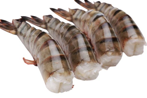 Uncooked Shrimps - HLSO - Uncooked, Headless, Shell-On - c