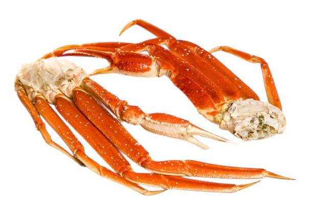 Snow Crab - Only in Season