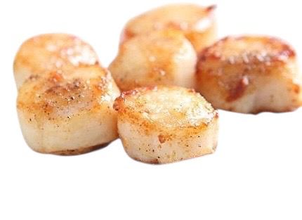Scallops