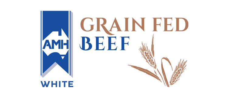 Australian Beef - c
