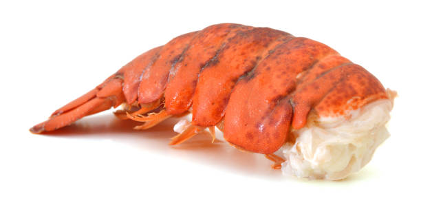 Maine Lobster USA - Only in season - c