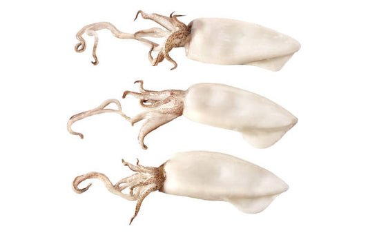 Calamari Tubes & Tentacles