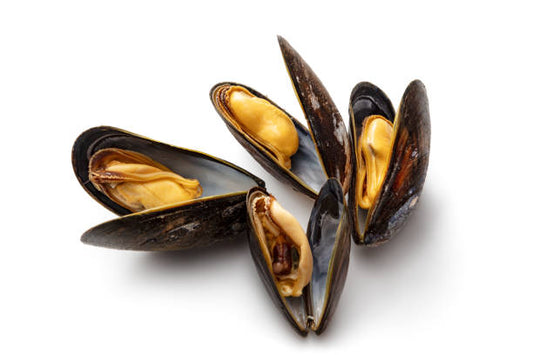 Black Mussels, whole and half - c