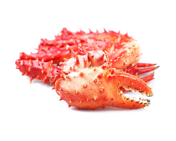 Alaska Red King Crab - Only in Season - c