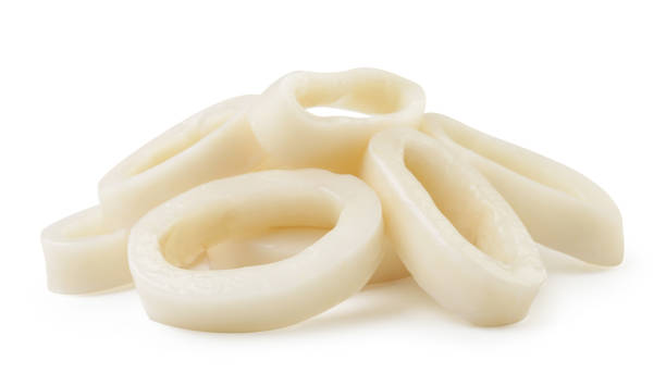 Squid rings and Cooked Squid rings - c