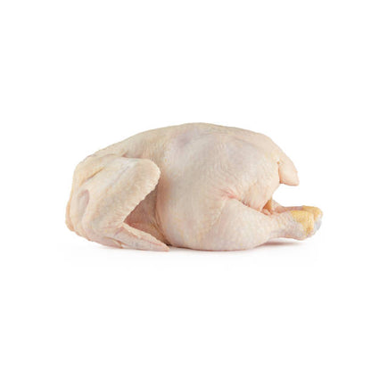 Whole Chicken Fryers Fresh & Frozen, WOGS & Parts - c
