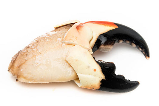 Florida Stone Crab Claws - Only in Season - c